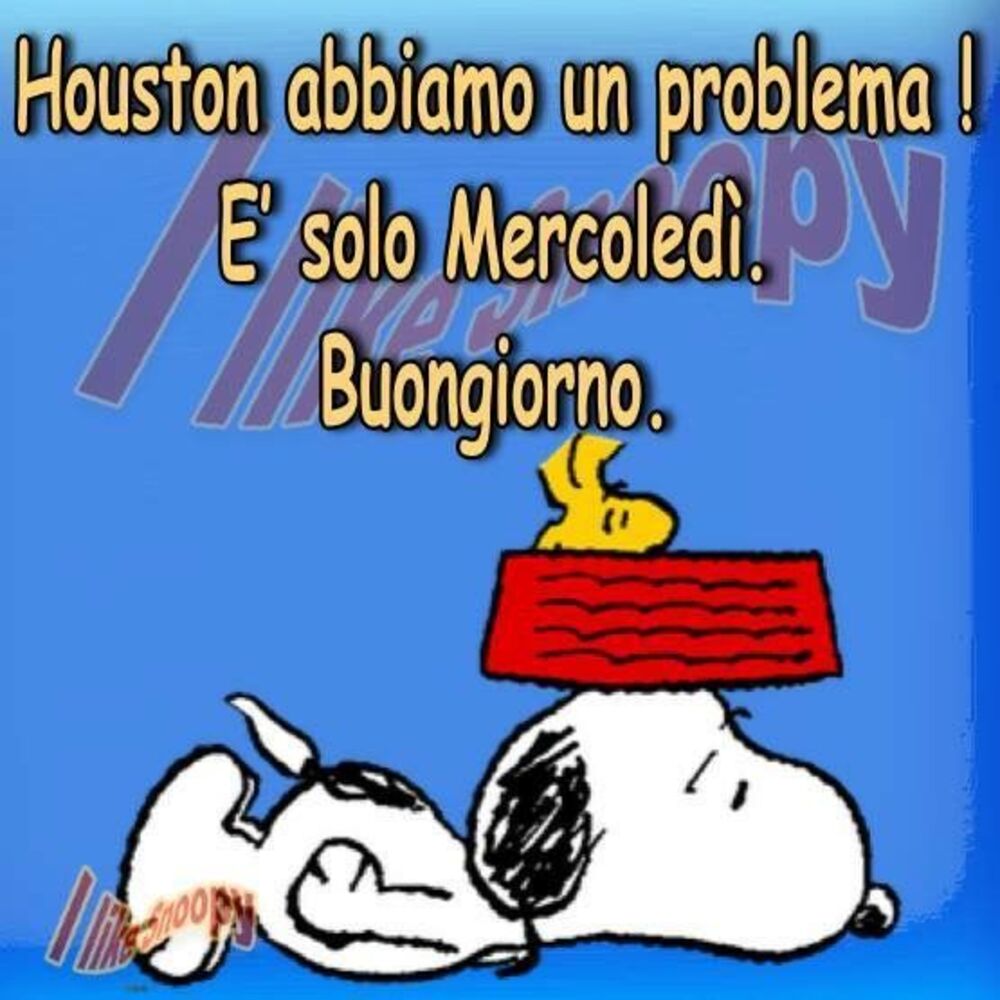 "Houston abbiamo un problema. E' solo Mercoledì. Buongiorno" - Snoopy
