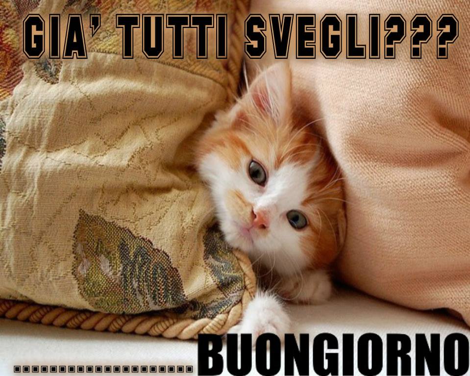 GIA' TUTTI SVEGLI?? ............... BUONGIORNO