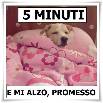 "5 minuti e mi alzo, promesso" - link divertenti