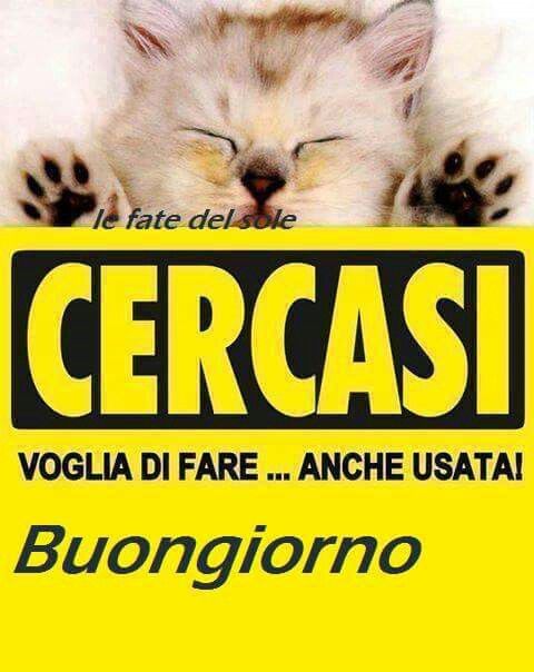 CERCASI voglia di fare... anche usata! Buongiorno - link divertenti