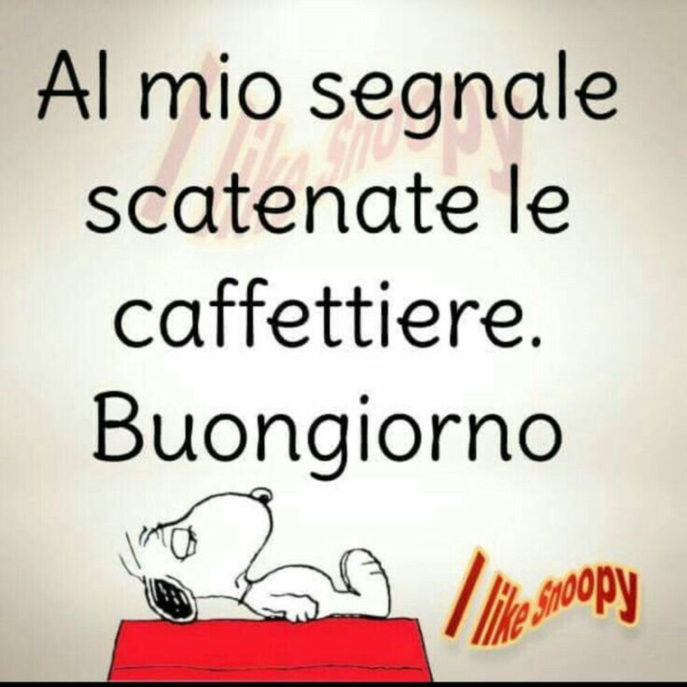 Al mio segnale scatenate le caffettiere. Buongiorno