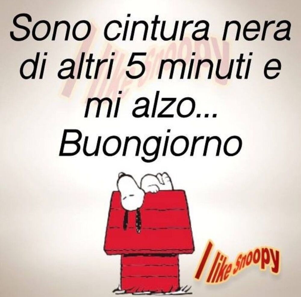 "Sono cintura nera di altri 5 minuti e mi alzo... Buongiorno." link divertenti Snoopy