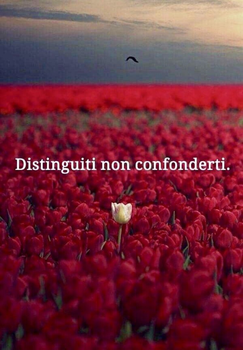 "Distinguiti non confonderti." Frasi Brevi