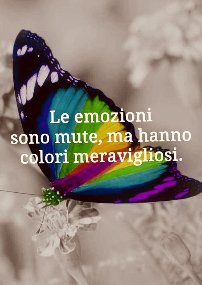 "Le emozioni sono mute, ma hanno colori meravigliosi." Frasi Corte