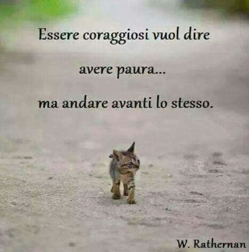 "Essere coraggiosi vuol dire avere paura... ma andare avanti lo stesso."