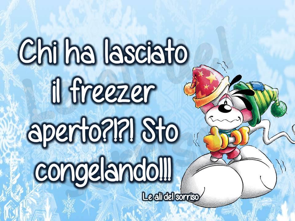 "Chi ha lasciato il freezer aperto?!?! Sto congelando!!!" Fa Freddo