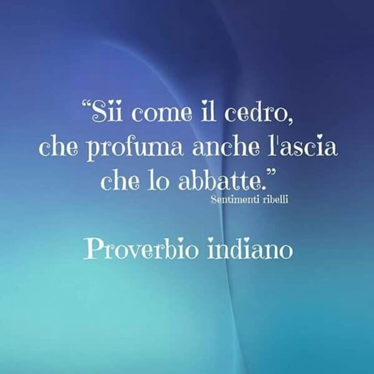 "Sii come il cedro, che profuma anche l'ascia che lo abbatte." Proverbio Indiano - Aforismi