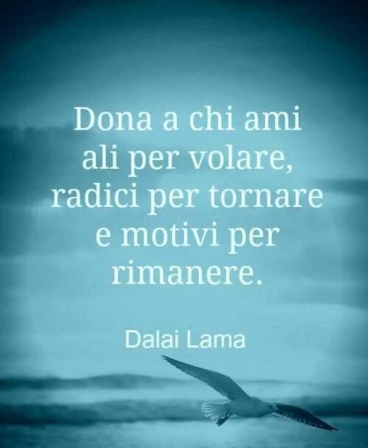 "Dona a chi ami ali per volare, radici per tornare e motivi per rimanere." Dalai Lama - Aforismi