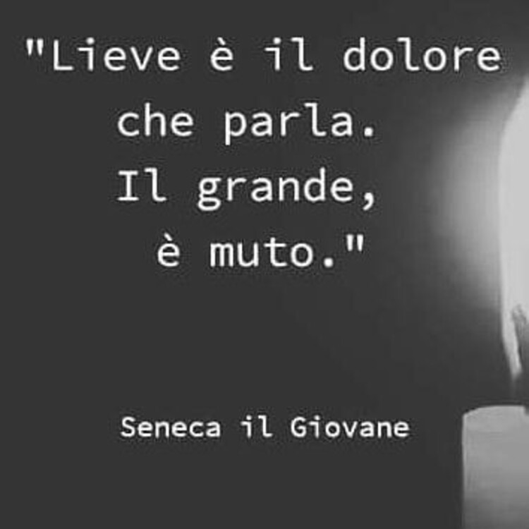 "Lieve è il dolore che parla, il grande è muto." - Seneca il giovane - Aforismi