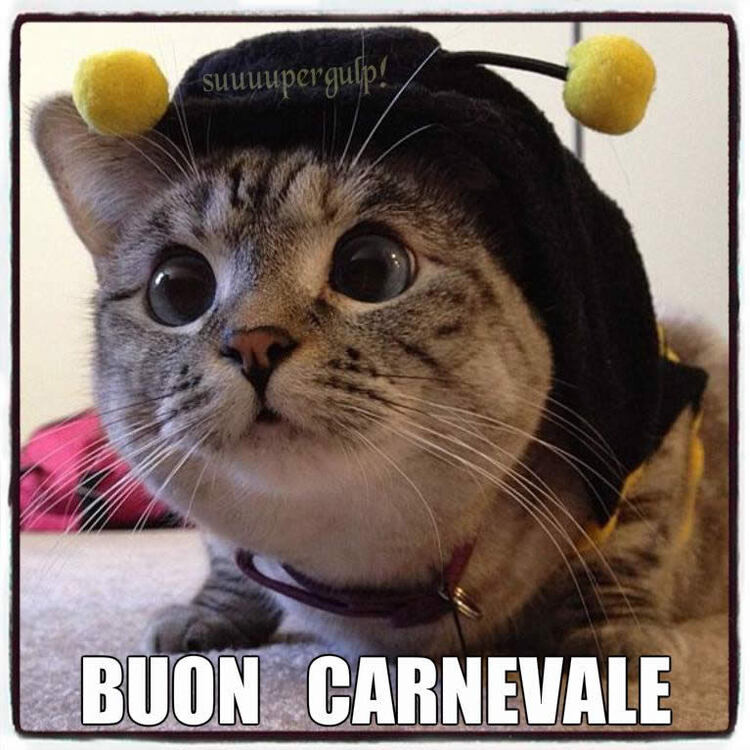 BUON CARNEVALE - immagini divertenti con gli animali