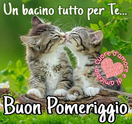 Buon Pomeriggio 10 Immagini Gratis E Belle Bgiorno It