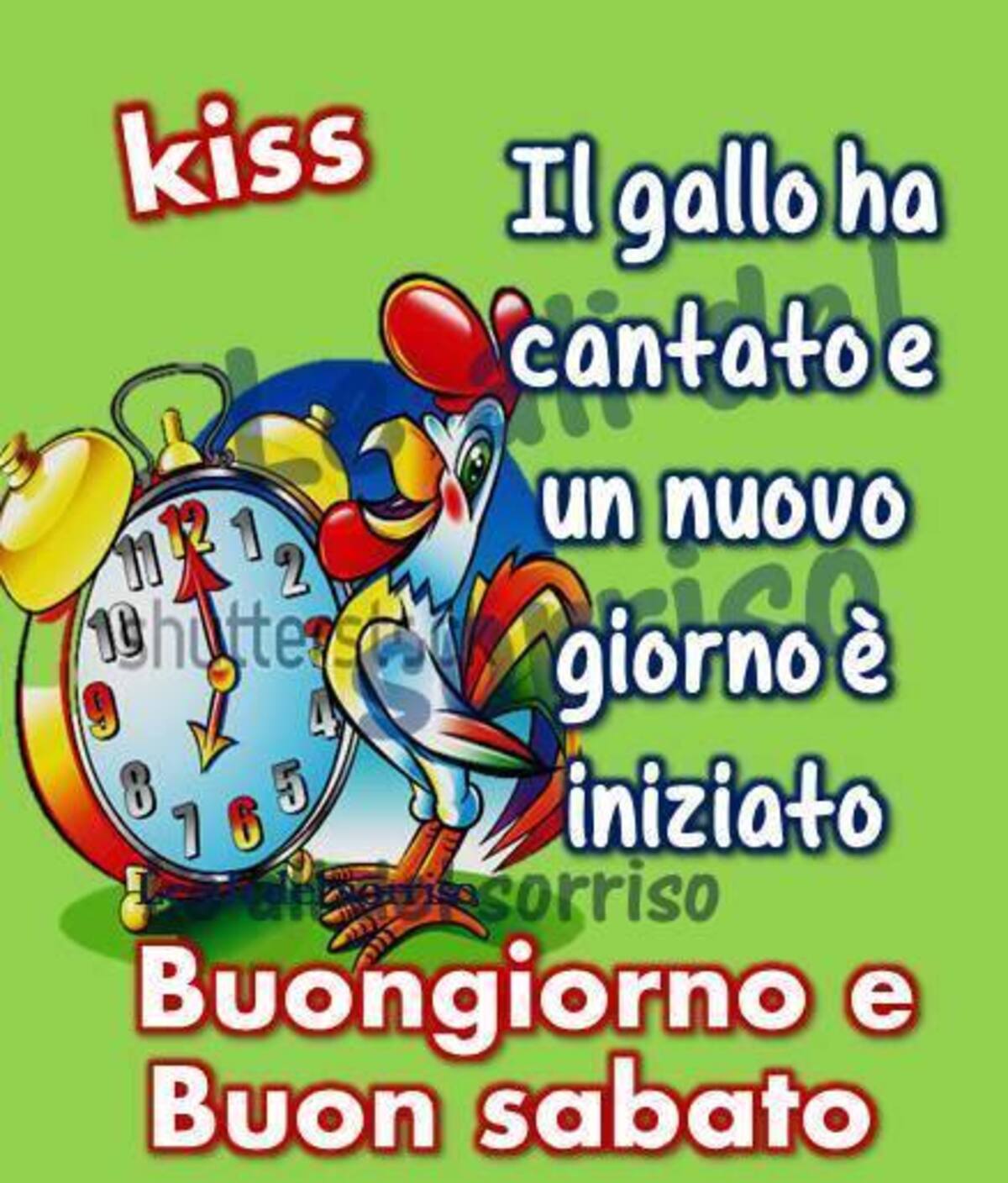 "Il gallo ha cantato ed un nuovo giorno è iniziato....."