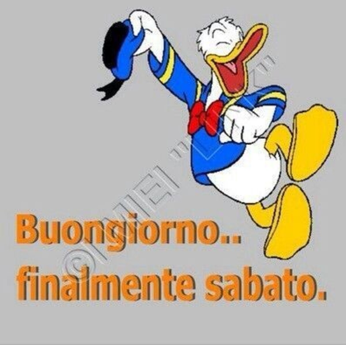 Buongiorno... Finalmente Sabato. - Paperino