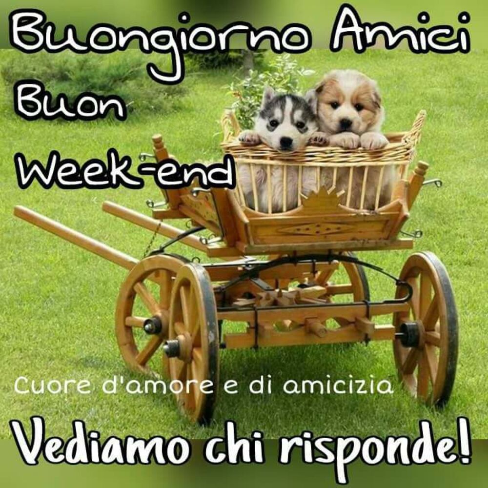 Buon Weekend 12 Immagini Da Mandare Ora In 1 Click Bgiorno It