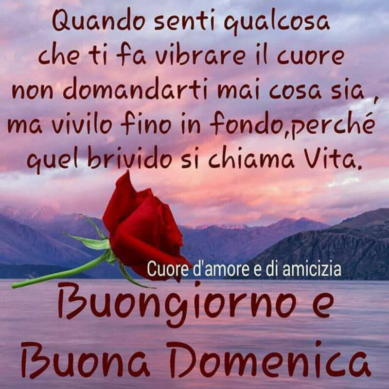 "Quando senti qualcosa che ti fa vibrare il cuore non domandarti mai cosa sia, ma vivilo fino in fondo, perchè quel brivido si chiama vita....."