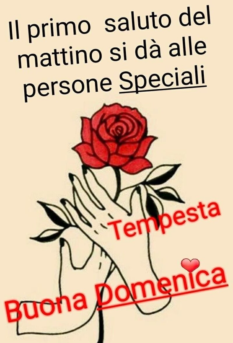 "Il primo saluto del mattino si dà alle persone speciali, Buona Domenica" - Tempesta