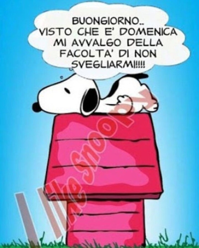 "Buongiorno, visto che è Domenica mi avvalgo della facoltà di non svegliarmi!!!" vignette con Snoopy