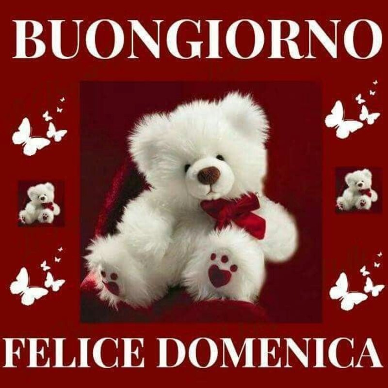 Buongiorno Felice Domenica (Amore Mio)