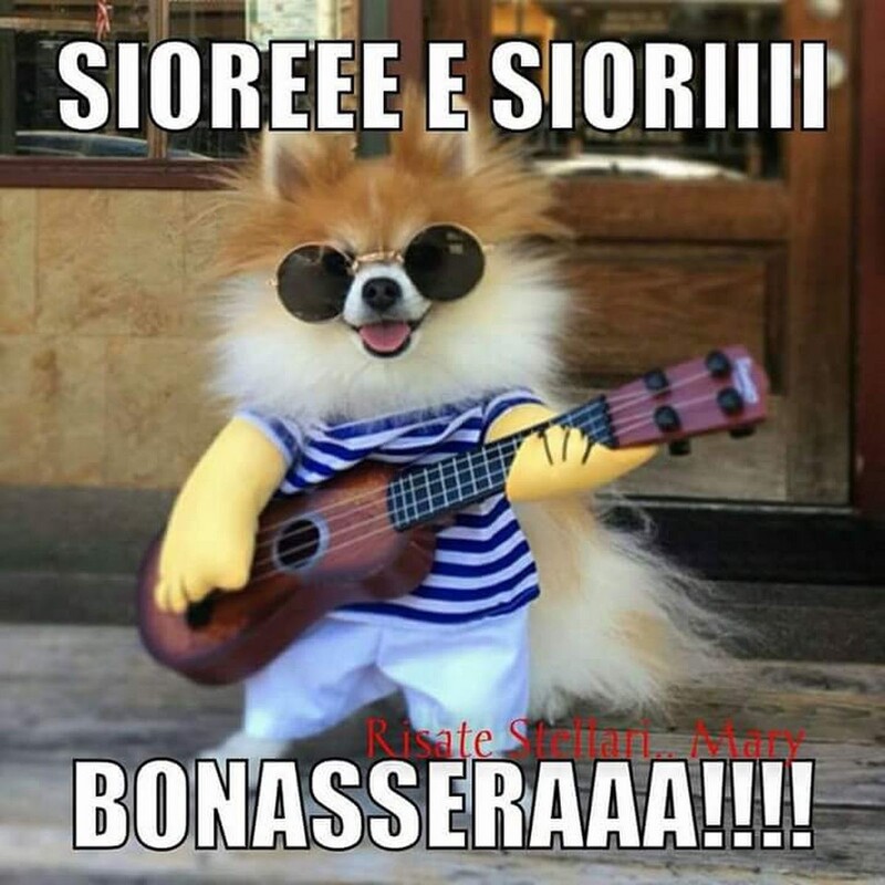 "SIOREEE E SIORIII BONASERAAA!!!!