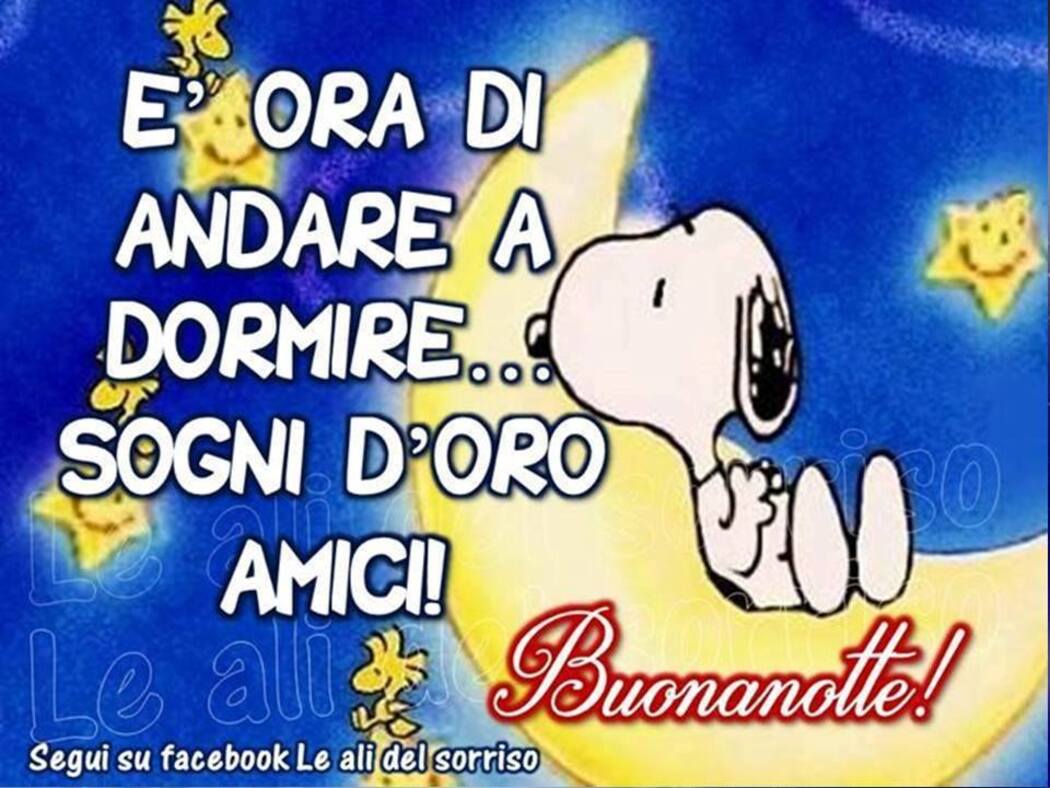 "E' ora di andare a dormire... Sogni D'Oro amici! Buonanotte" - Snoopy