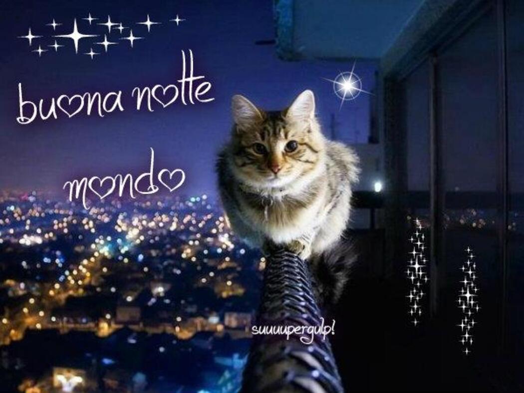 buonanotte mondo