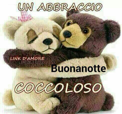 "Buonanotte Amore Mio" - Link d'Amore