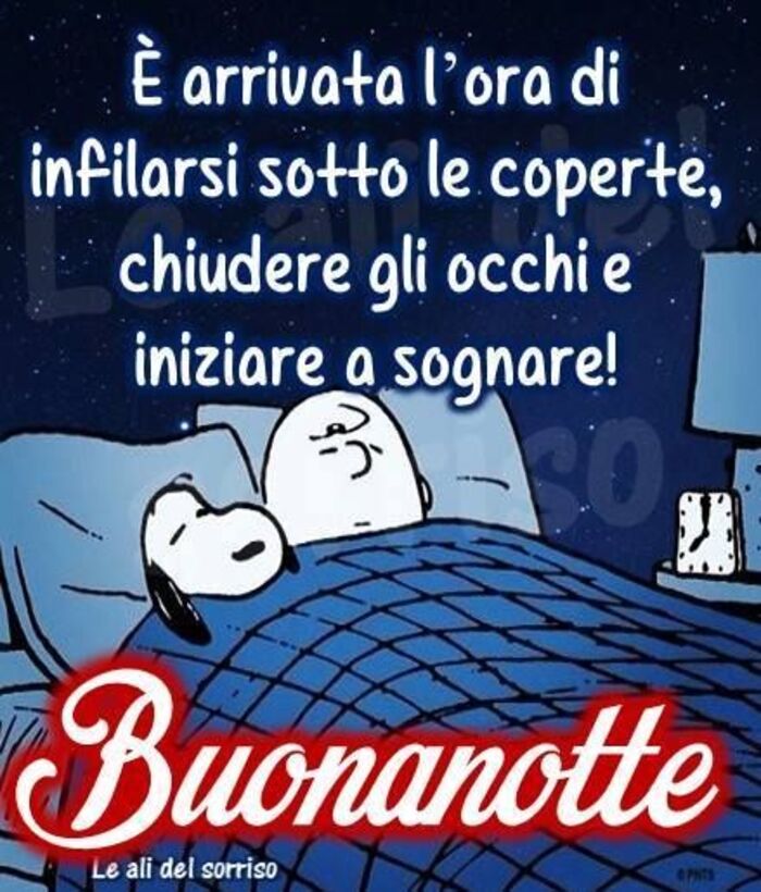 "E' arrivata l'ora di infilarsi sotto le coperte, chiudere gli occhi e iniziare a sognare! Buonanotte"