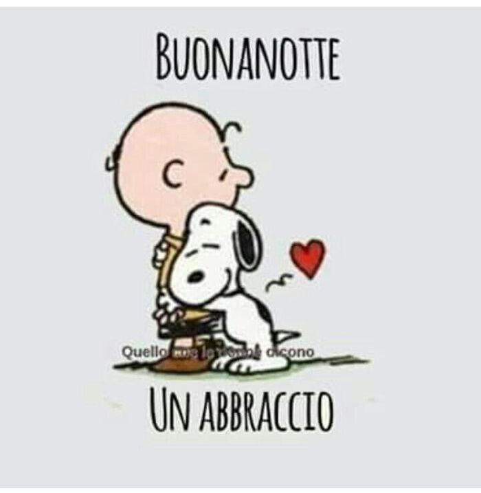 "Buonanotte, un abbraccio"