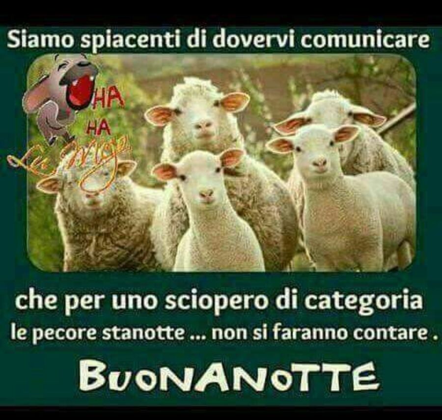 "Siamo spiacenti di dovervi comunicare che per uno sciopero di categoria, le pecore stanotte... non si faranno contare . Buonanotte"