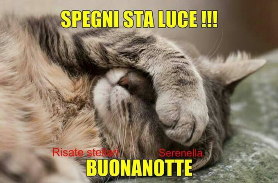 Immagini divertenti - "SPEGNI STA LUCE! BUONANOTTE"