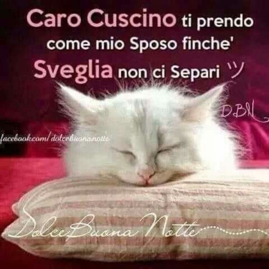 Immagini spiritose per dire Buona Notte