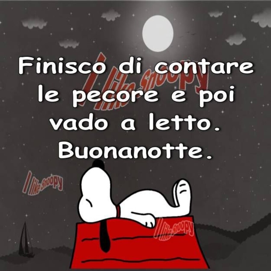 "Finisco di contare le pecore e poi vado a letto. Buonanotte" - Snoopy