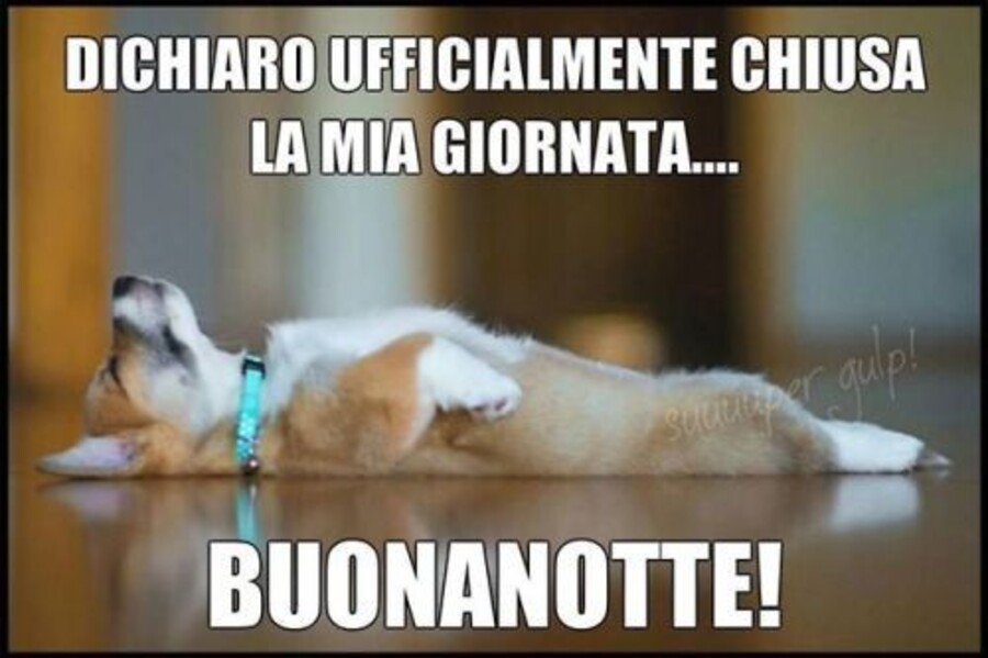 Buonanotte da ridere - "Dichiaro ufficialmente chiusa la mia giornata. Buonanotte"