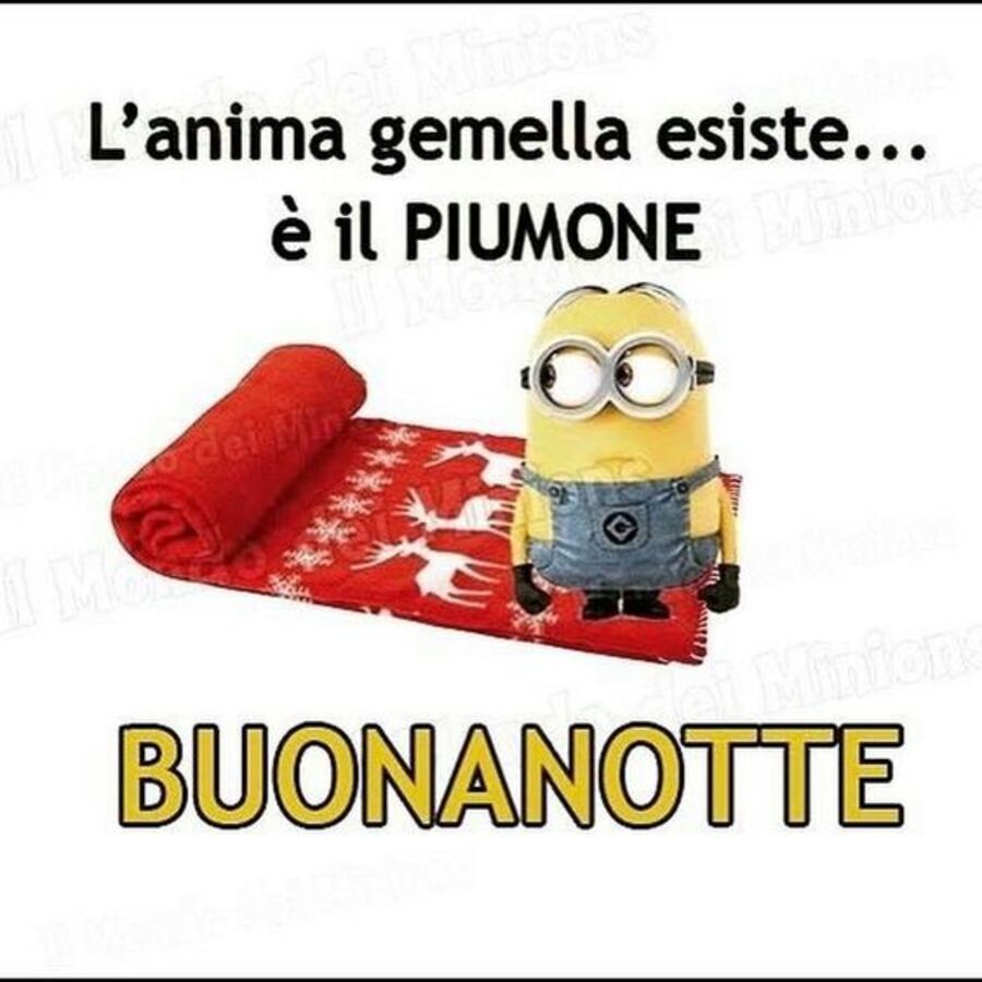 "L'anima gemella esiste... è il PIUMONE. Buonanotte" - immagini spiritose