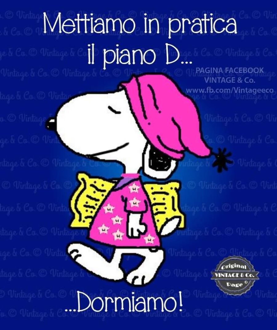 "Mettiamo in pratica il piano D... Dormiamo !"