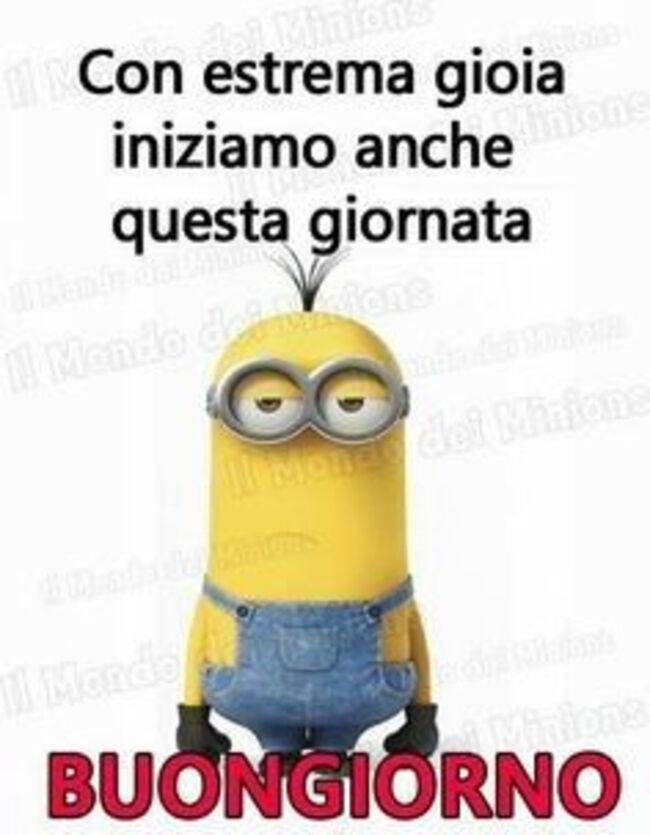 Buongiorno con i Minions