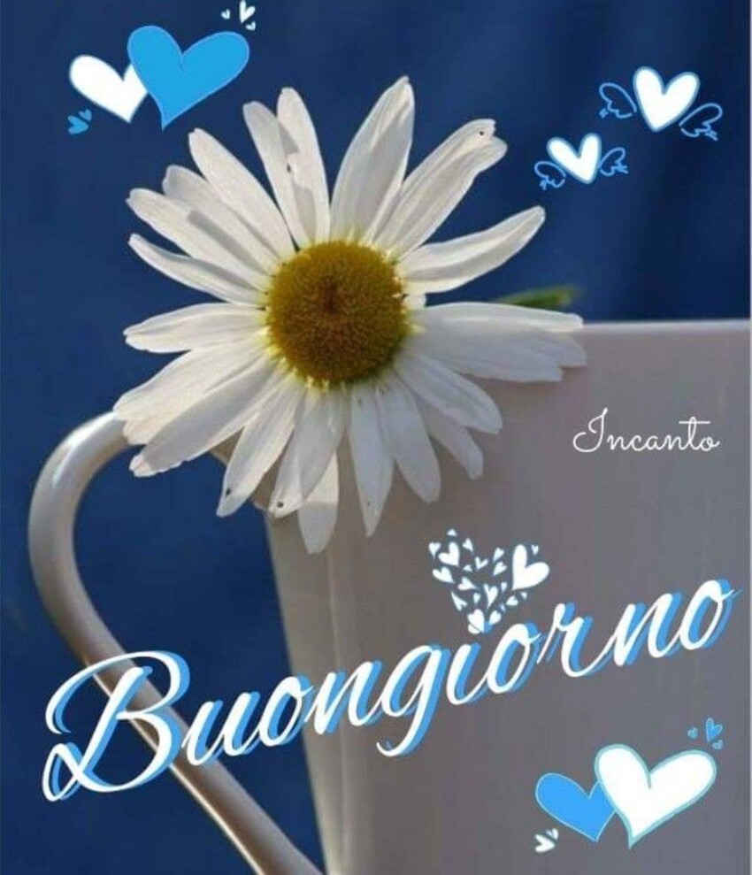 Buongiorno Con I Fiori Raccolta Delle Migliori Immagini Bgiorno It