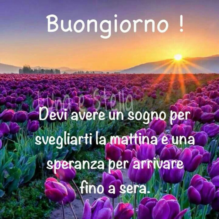 Frasi del Buongiorno coi fiori