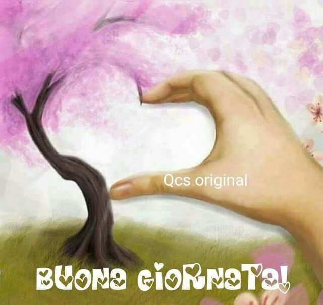 "Buona Giornata !"