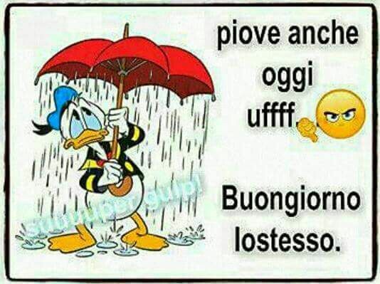 "Piove anche oggi ufff... Buongiorno lo stesso." - Paperino