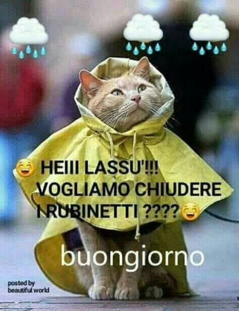 Buongiorno Con La Pioggia 12 Immagini Da Inviare Bgiorno It