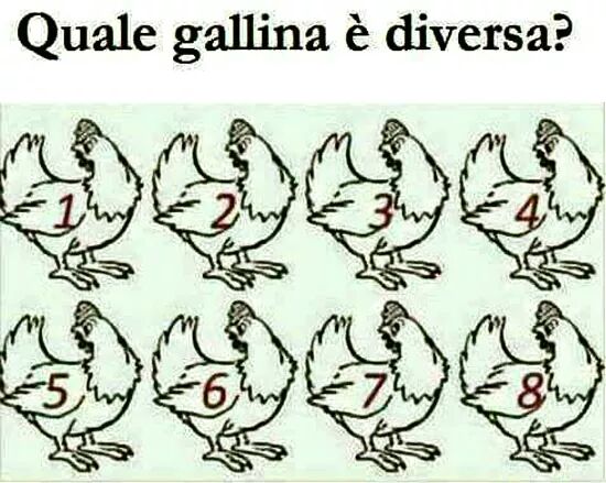 "Quale gallina è diversa?"