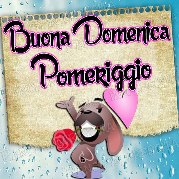 BUONGIORNO FORUM!!!!  Saluti lampo - Pagina 12 Domenica-Pomeriggio-1