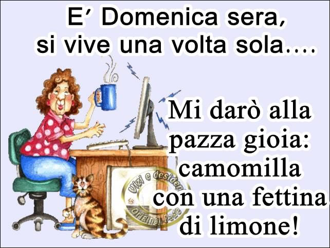 "E' Domenica Sera, si vive una volta sola... Mi darò alla pazza gioia: camomilla con una fettina di limone!"