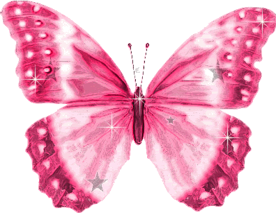 Immagini in movimento - Farfalla