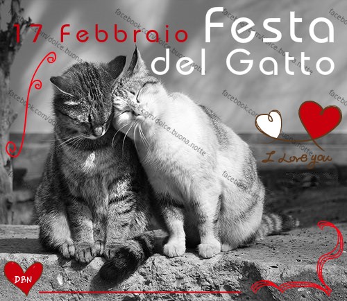 17 Febbraio Festa del Gatto