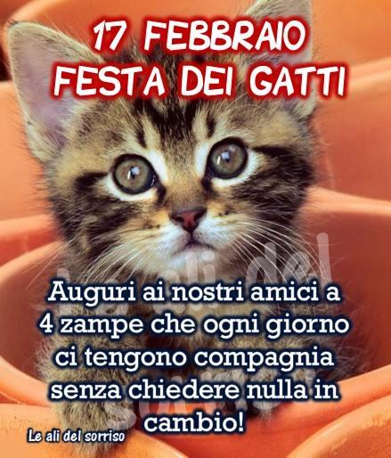 "17 Febbraio FESTA DEI GATTI Auguri ai nostri amici a 4 zampe che ogni giorno ci tengono compagnia senza chiedere nulla in cambio!"