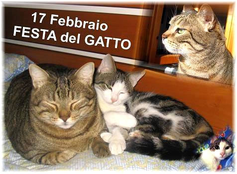 17 Febbraio Festa del Gatto - immagini da condividere