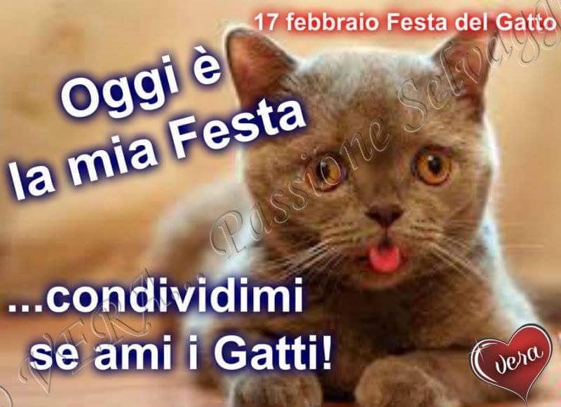 "Oggi è la mia Festa... condividimi se ami i gatti!"