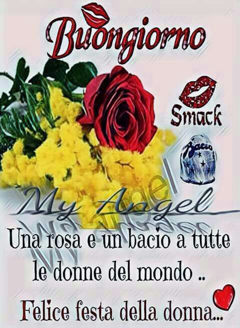 "Buongiorno, una rosa e un bacio a tutte le donne del mondo... Felice Festa della Donna"